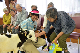 和歌山県白浜町の老人福祉施設へ動物たちとSmileを届ける「ふれあい宅配便」を実施します