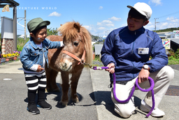 和歌山県獣医師会主催 「動物愛護フェスティバル in きのかわ」に出展いたします 