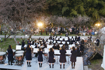 彦根城の梅林見ごろを迎えます 21日からライトアップ 近江食材料理のふるまいも 彦根市役所のプレスリリース 共同通信prワイヤー