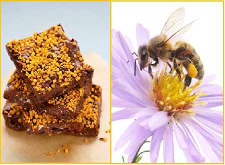蜂（ビー）と花粉（ポーレン）とチョコ