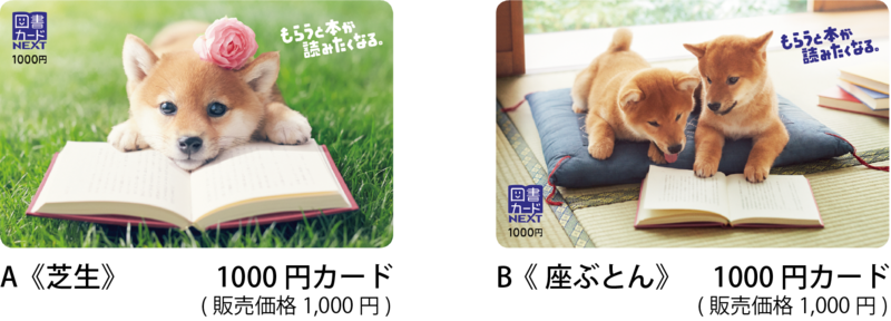 限定版柴犬図書カード 本日11月15日 木 発売開始 日本図書普及株式会社のプレスリリース 共同通信prワイヤー