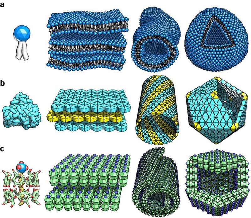 Science and Technology of Advanced Materials誌: ここまで進んでいる