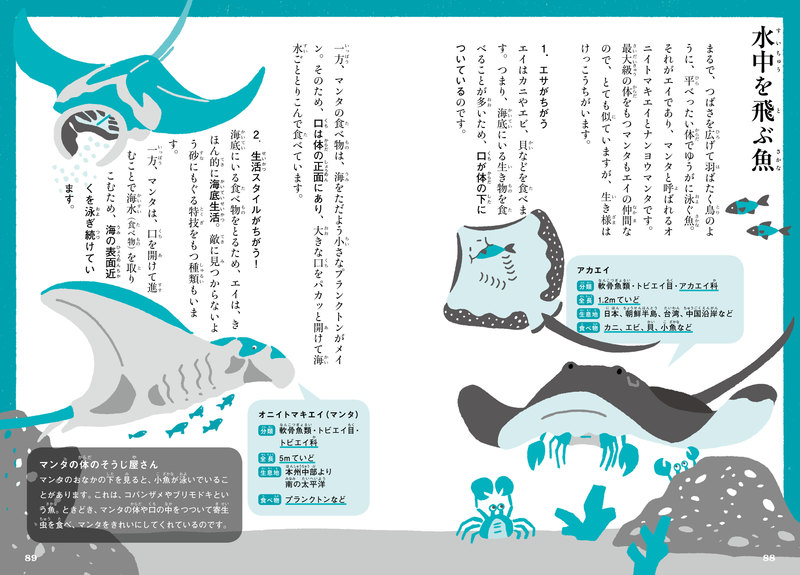 タヌキとアライグマ マンタとエイ など 似ている生き物の 違い に着目の新しい図鑑登場 トレミー