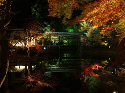 秋の高台寺を貸しきりで拝観。京都・祇園八坂のホテル「そわか（SOWAKA）」のゲスト限定企画。