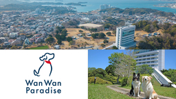 わんわんパラダイス プレミア 南紀白浜 3月改装リニューアルオープン！