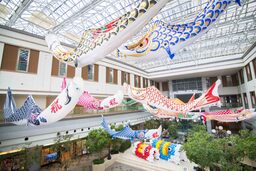 アートホテル鹿島セントラル 全長10mの鯉のぼりが舞う屋内展示イベントを開催