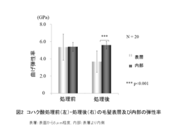 図2 コハク酸処理前後の毛髪表層および内部の弾性率