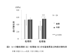 図2　コハク酸処理前後の毛髪表層および内部の弾性率