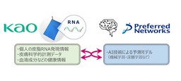花王とPreferred Networks、皮脂RNAモニタリング技術の実用化に向けて協働プロジェクト開始