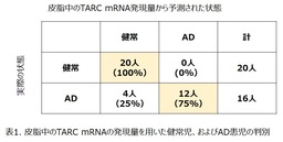 表1. 皮脂中のTARC mRNAの発現量を用いた健常児、およびAD患児の判別
