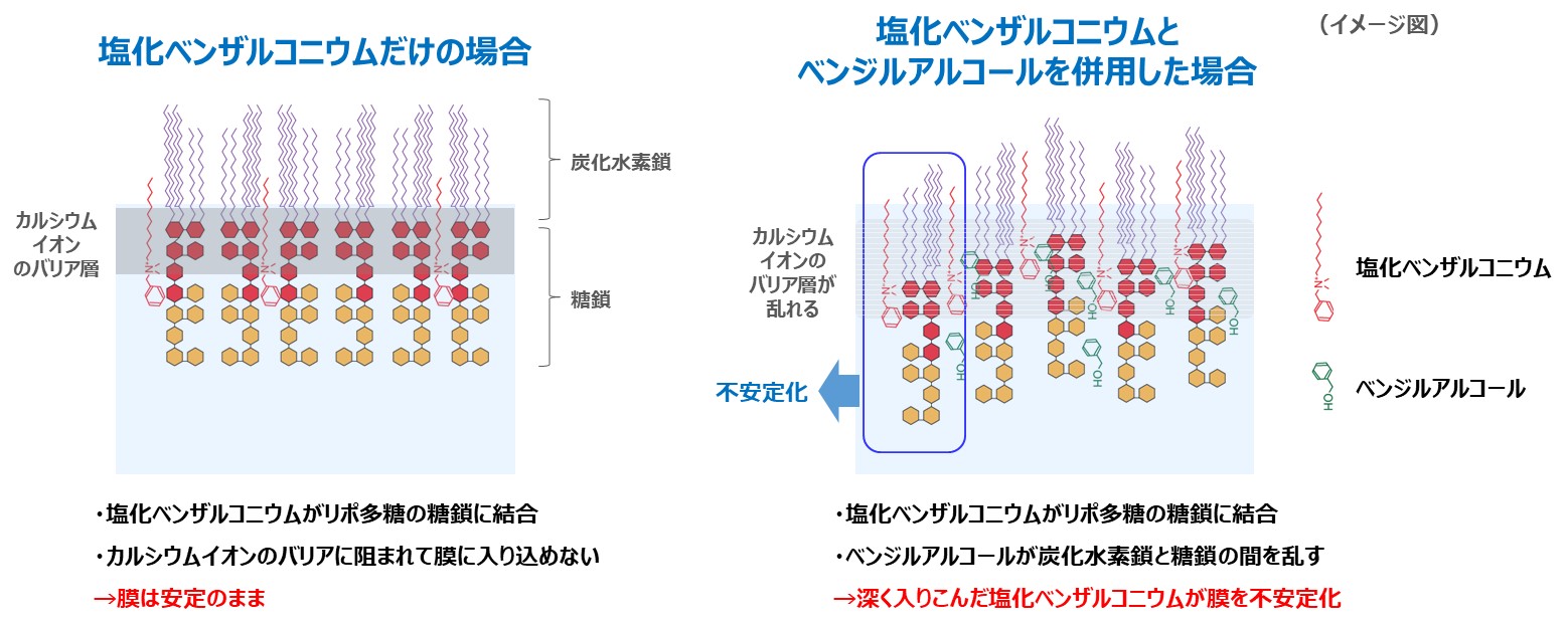 界面活性剤と芳香族アルコールによる抗菌作用メカニズムを原子 分子スケールで解明 花王のプレスリリース 共同通信prワイヤー