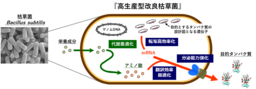 花王、枯草菌によるタンパク質生産技術を感染症対策に応用へ