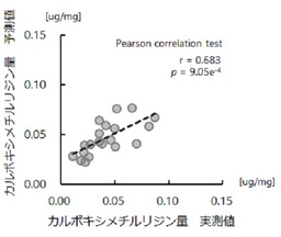 図3 角層タンパク質の糖化状態の予測