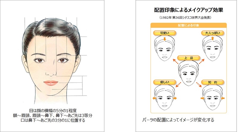 日本人女性の 平均顔 と印象による顔の特徴を解析 花王のプレスリリース 共同通信prワイヤー