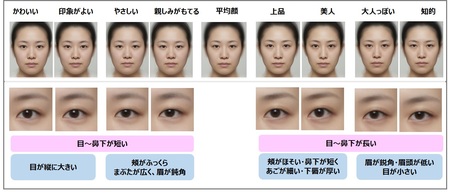 日本人女性の 平均顔 と印象による顔の特徴を解析 プレスリリース 沖縄タイムス プラス