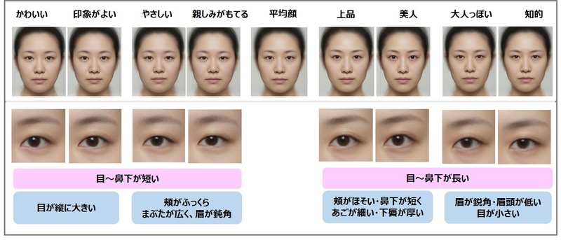 日本人女性の 平均顔 と印象による顔の特徴を解析 花王のプレスリリース 共同通信prワイヤー