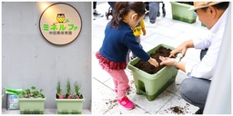 【藤田智教授監修】0歳児からの”触れる”秋の野菜作りイベント実施