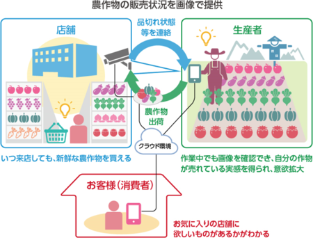 直売所販売支援サービス「つながるファーマーズ」月額利用料を無償で 