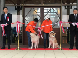 5月8日JR大館駅前「秋田犬の里」グランドオープニングセレモニー