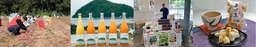 「ディスカバー農山漁村（むら）の宝アワード」本日募集開始！