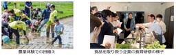 【本日公表】令和6年度 食育白書