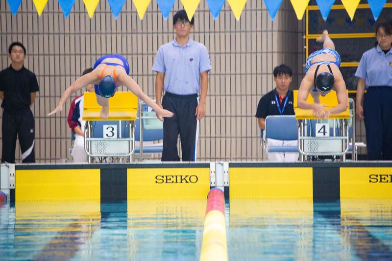 知的水泳 19年度 第3回日本知的障害者選手権新春水泳競技大会 パラネット プレス事務局のプレスリリース 共同通信prワイヤー