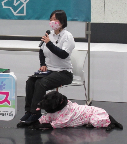 買取評価 盲導犬の科学 選抜，育成および訓練 /信山社サイテック