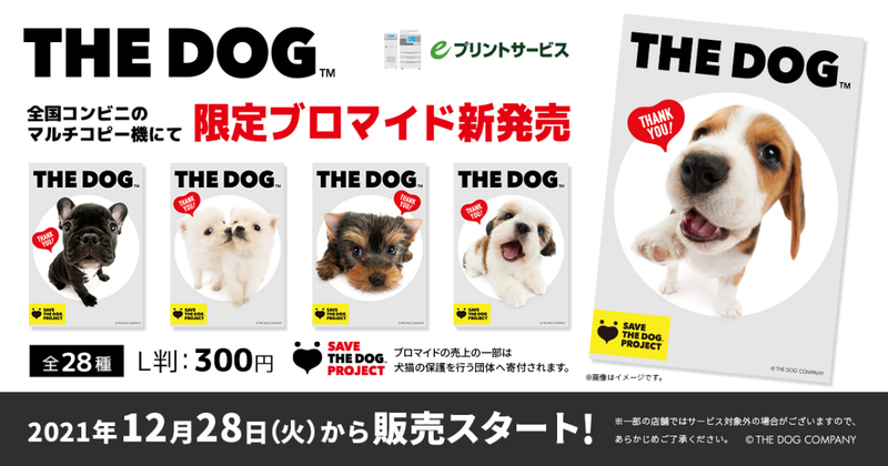 可愛い犬の写真を買うだけで保護活動に参加 The Dog ブロマイド 12月28日より利用開始 Bitのプレスリリース 共同通信prワイヤー