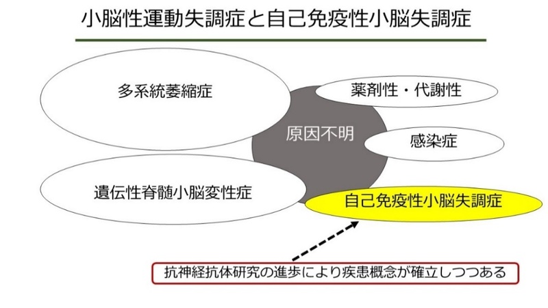 急性小脳失調症は成人にどのような影響を及ぼしますか?