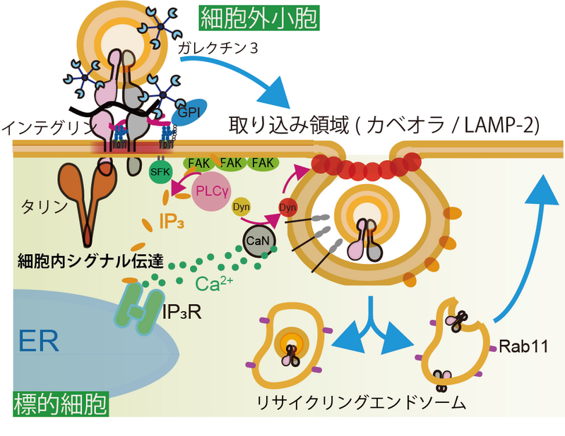 _prw_PI6lg_YF767wWr.png