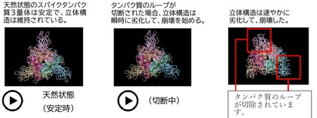 光触媒素材のdr C粉末を固着したシートで新型コロナウイルスの感染価が99 99 減少することを実証 紀伊民報agara