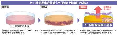 プレスリリース：［新商品］ヒト幹細胞培養上清液を100％配合した