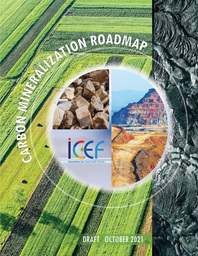 ICEF2021_Roadmap(draft)