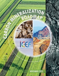 ICEF2021_Roadmap