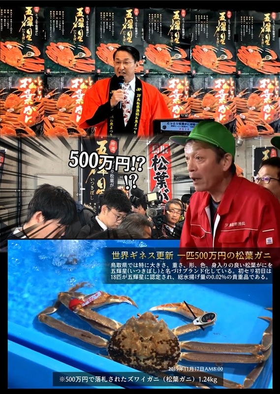 鳥取の鮮魚仲買業社 中村商店が 松葉がにの初競り 11月7日 を無料ライブ配信 参加者を募集 中村商店のプレスリリース 共同通信prワイヤー