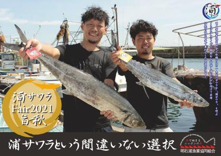 いよいよ旬 明石 一本釣り まえもん の逸品 浦サワラ プレスリリース 沖縄タイムス プラス