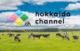 北海道新聞と北海道文化放送が無料動画サイト「北海道チャンネル」を開設
