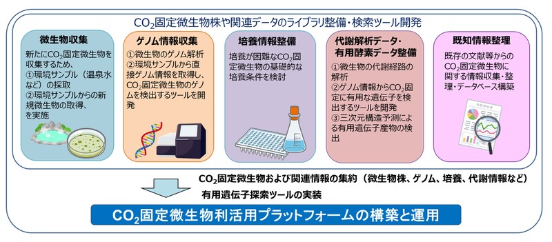 二酸化炭素（CO2）を直接利用する微生物によるバイオものづくりの促進 