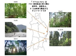 FSC森林認証に取り組む5つの地域による、森を守り育てる活動を行う「5TreesNet」の活動がスタート！