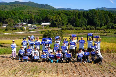 NOK「水田オーナー制度」_main