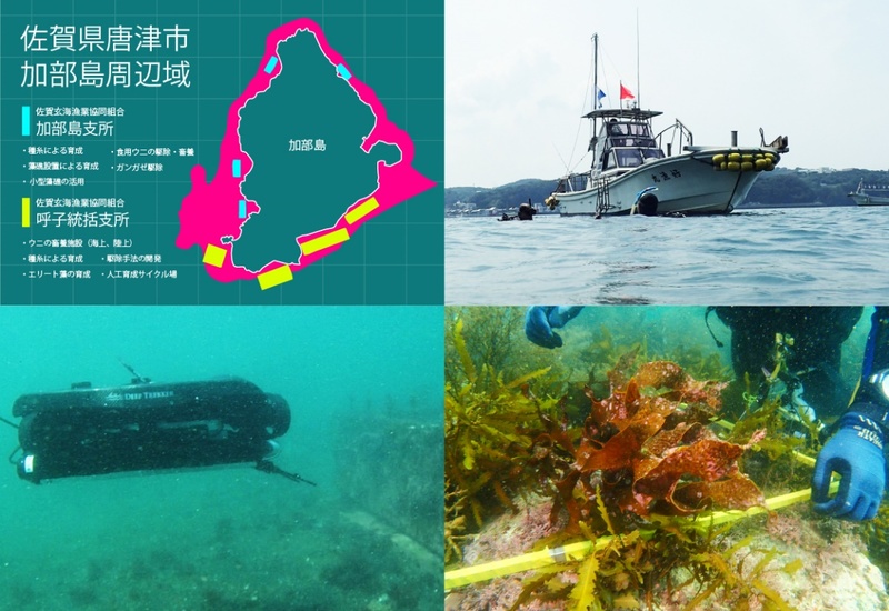 水石 佐賀 玄海 _prw_PI1lg_4Bdlgq4D.jpg