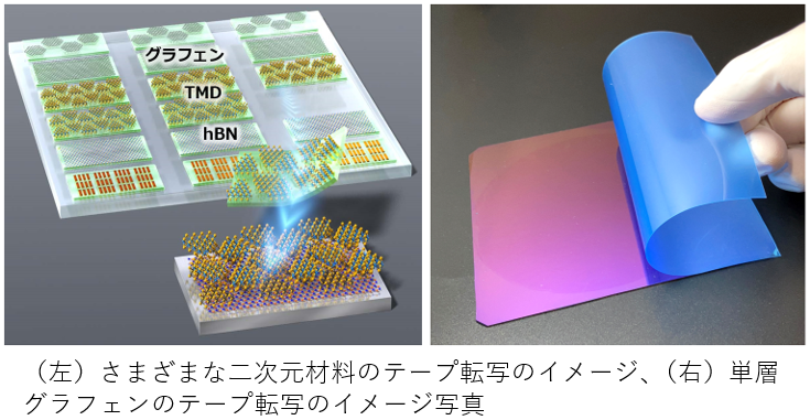 世界初、グラフェンなどの二次元材料テープを開発 | 産総研のプレスリリース | 共同通信PRワイヤー