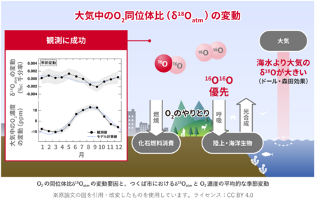 大気中酸素の安定同位体比の百万分の一の変動を初めて観測