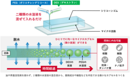 からだに安全な材料だけで微小液滴「マイクロカプセル」をつくる