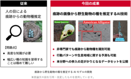 野生動物の多様な“痕跡”の画像から種の推定を可能にするAIモデルを開発
