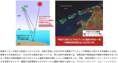 宇宙から浅い海の環境を読み解く：ハイパースペクトルが明らかにした「クロロフィルαのサイン」
