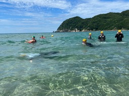 神戸親和大学で50年続く伝統授業、海で泳ぐ「遠泳実習」が今年も実施されました。