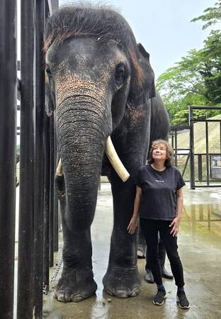 宇都宮動物園で、ゾウをもっと知る2日間