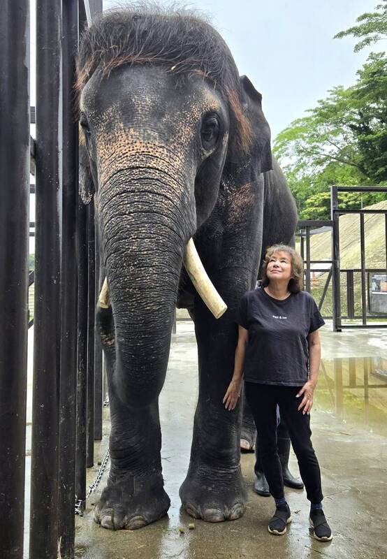 宇都宮動物園で、ゾウをもっと知る2日間