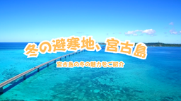 宮古島の冬の魅力を訴求します
